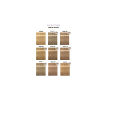 Vopsea-Nuantator de par Indola Blonde Expert Highlifts 1000.22 60ml