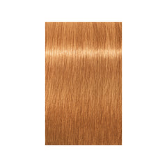 Indola PCC Blonde Expert Pastel P.14 60ml